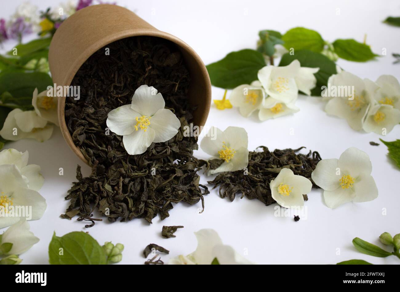 Thé de feuilles avec jasmin dans un carton rond sur fond blanc. Concept zéro déchet Banque D'Images