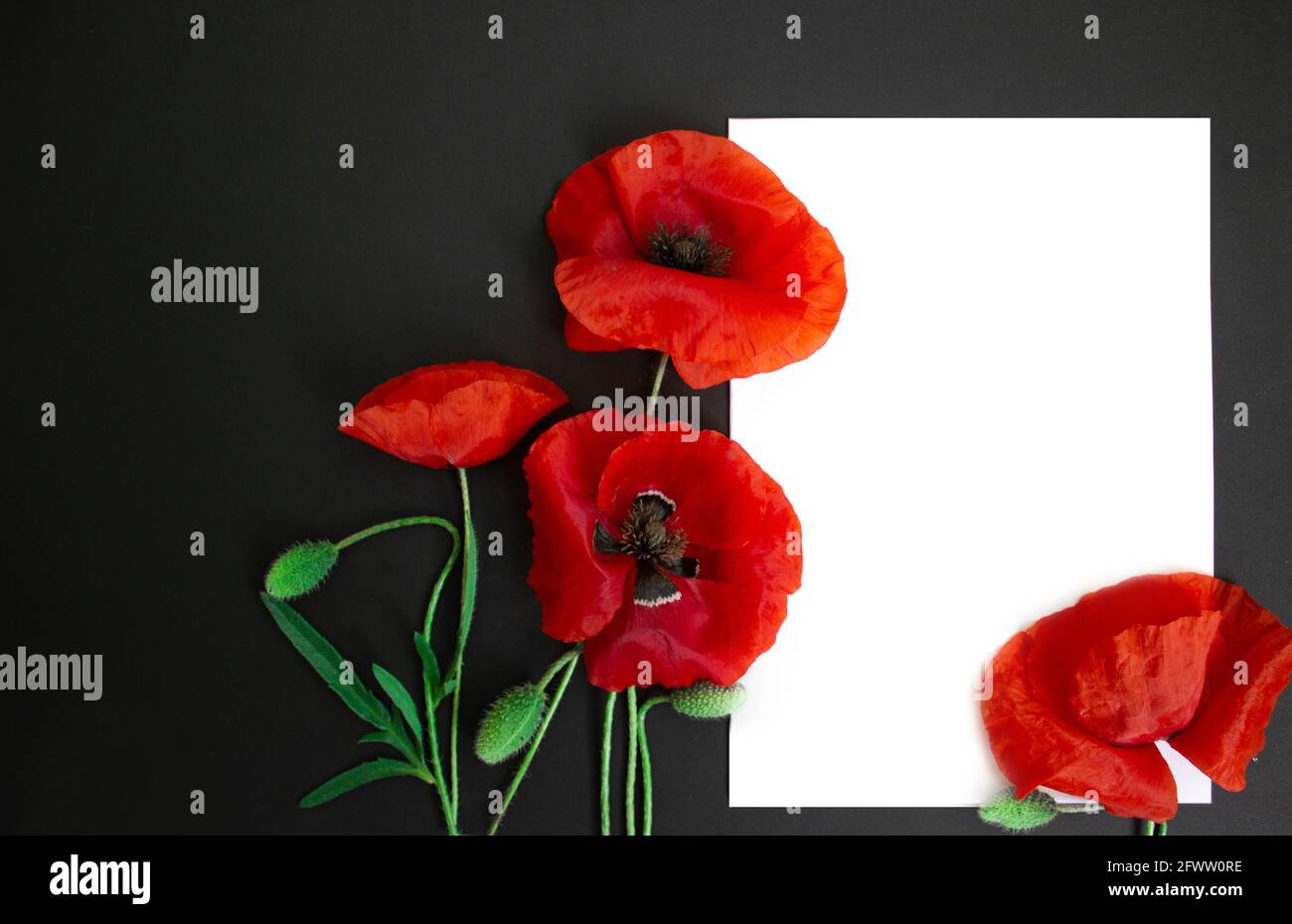 Carte postale de fleur Banque de photographies et d'images à haute  résolution - Alamy