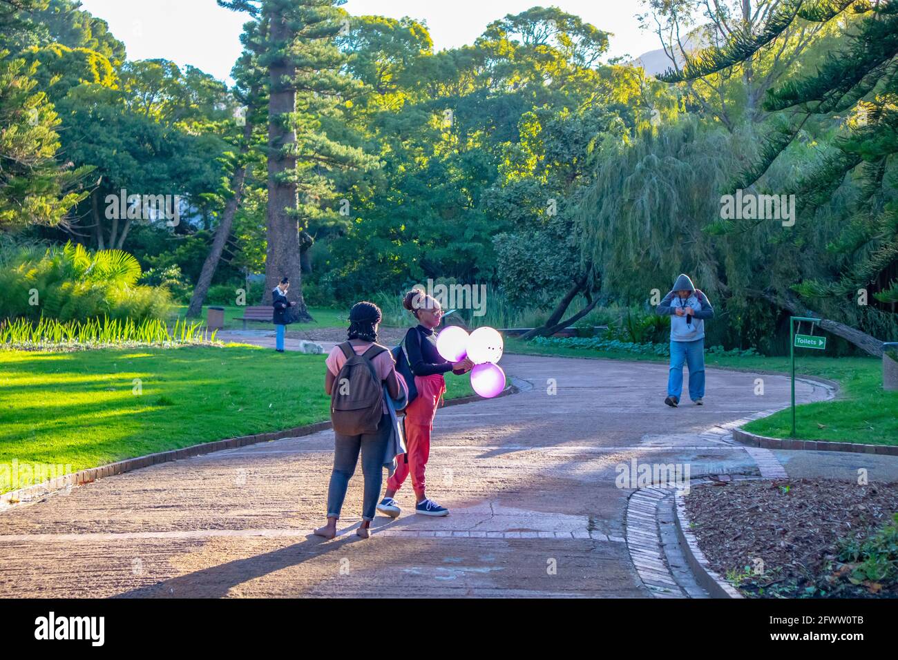 Afrique du Sud - 21-05-2021 imprégnez-vous de l'atmosphère tranquille des jardins d'Arderne. Végétation luxuriante et des endroits calmes pour se détendre. Banque D'Images