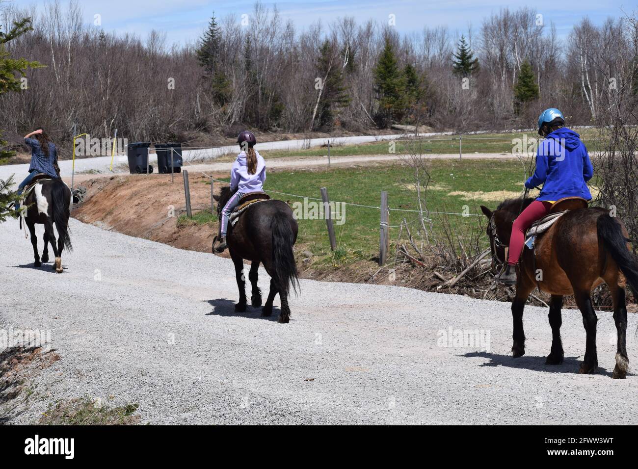 Promenade en sentier aux écuries de cache Rapids à Reidville, Terre-Neuve Banque D'Images