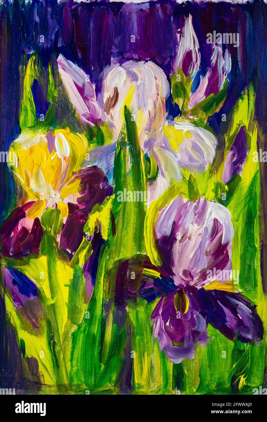 Peinture acrylique ou huile. Iris violets en fleurs Banque D'Images