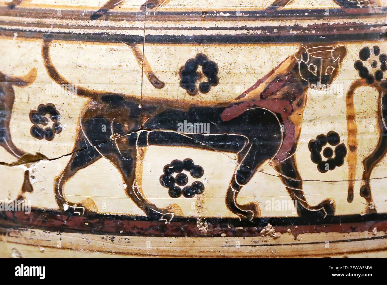 Lion peint sur un vase étrusque ancien Banque D'Images