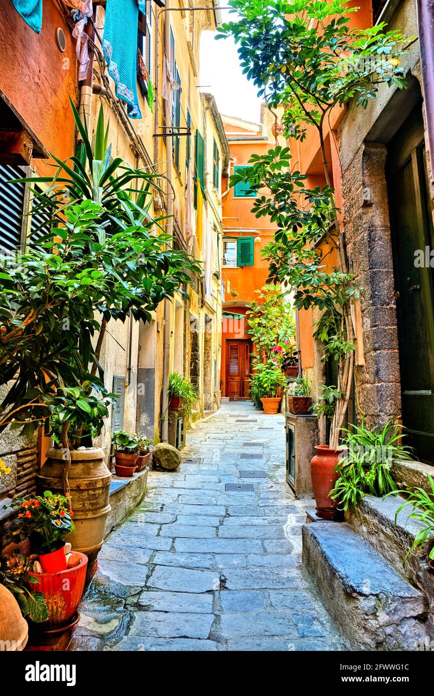 Ancienne rue bordée de plantes colorées dans le village des Cinque Terre de Vernazza, en Italie Banque D'Images