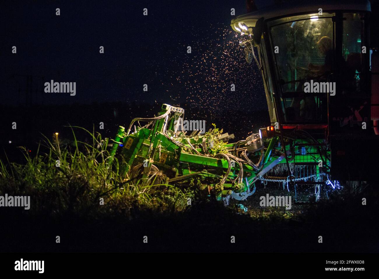 La récolteuse de tomates travaille de nuit. Las Vegas Bajas del Guadiana, Espagne Banque D'Images