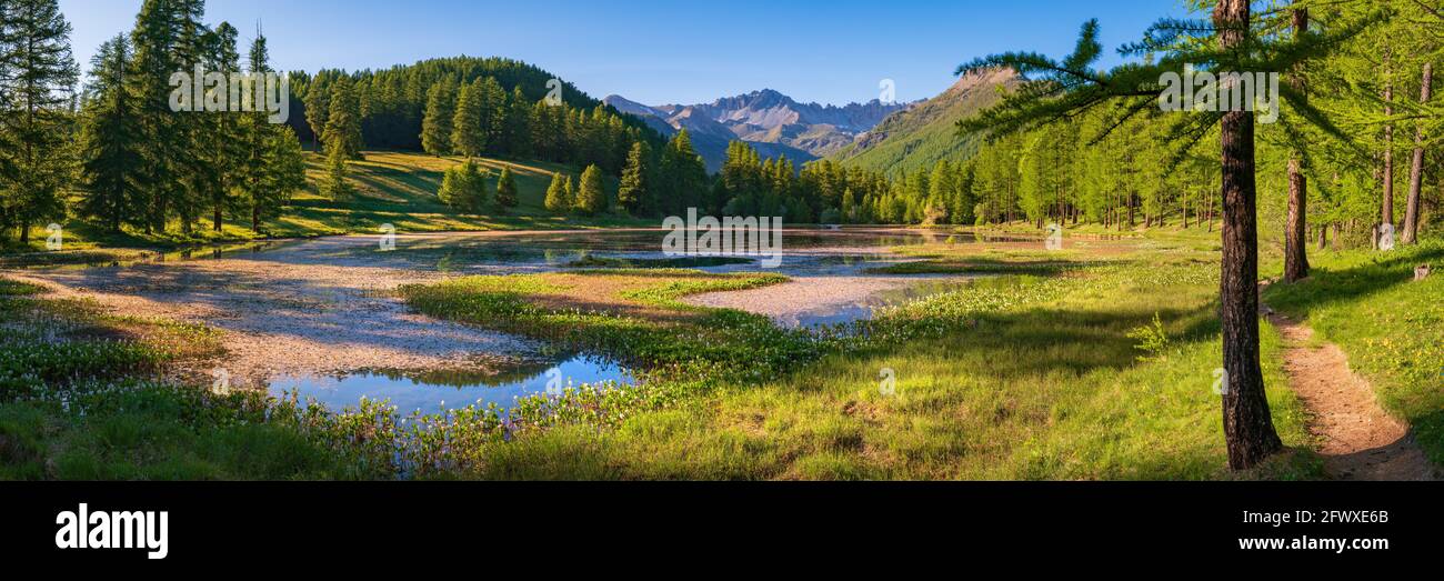 Lac de Roue dans le Parc naturel Queyras fin du printemps - début de l'été (panoramique). Site de randonnée près d'Arvieux dans les Hautes-Alpes, Alpes françaises, France Banque D'Images
