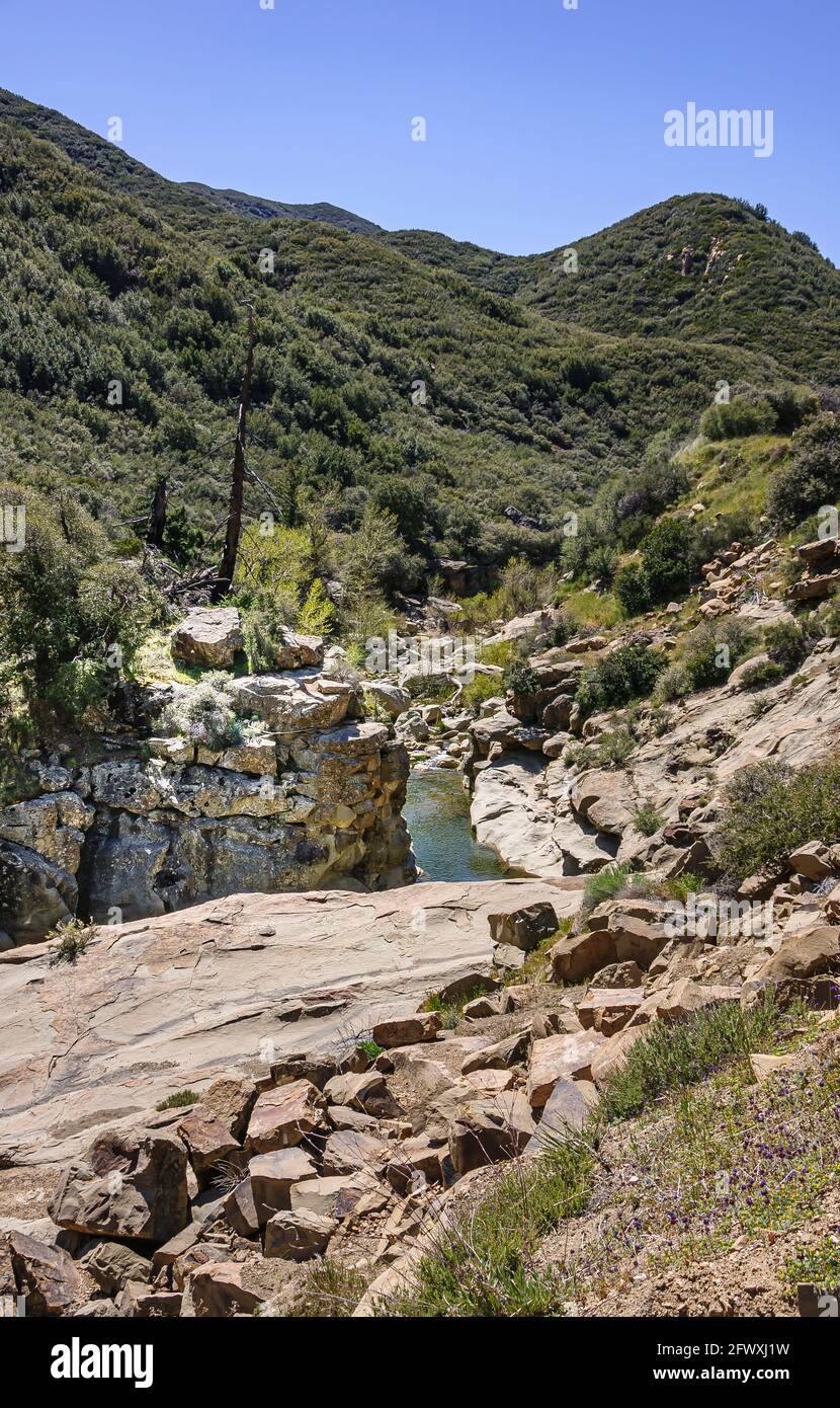 Los Padres National Forest, CA, USA - 8 avril 2010: Matiliija Creek trouve son chemin parmi les rochers bruns au fond du canyon de montagne vert sous le ciel bleu Banque D'Images