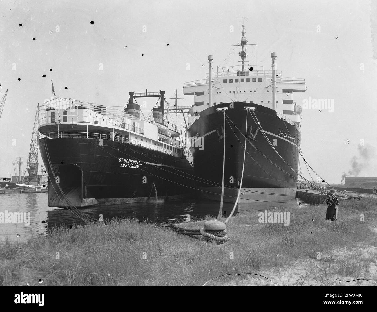 Ancien et nouveau baleinier Willem Barendsz à Coenhaven, Amsterdam. Ancien rebaptisé Bloemendael, 13 juillet 1955, ports, expédition, Navires, baleiniers, pays-Bas Banque D'Images