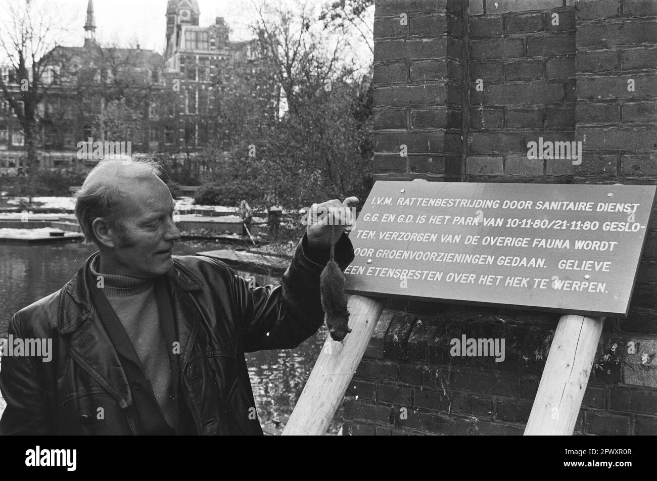 Début du contrôle des rats à Amsterdam Sarphatipark, homme avec un rat mort près du signe, 10 novembre 1980, rats, témoins, Signes, pays-Bas, 20e siècle pr Banque D'Images