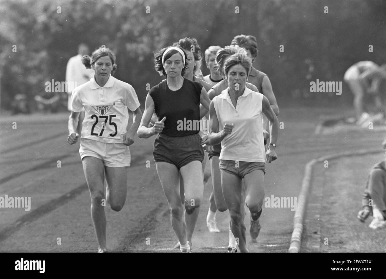Athlétisme à Leiden pour le Golden Spike . Numbers 14.15 800m Ladies, Number 13 Els van Noordduyn, 15 juin 1968, ATLETICS, pays-Bas, 20e cent Banque D'Images Athlétisme à Leiden pour le Golden Spike . Numbers 14.15 800m Ladies, Number 13 Els van Noordduyn, 15 juin 1968, ATLETICS, pays-Bas, 20e cent Banque D'Images