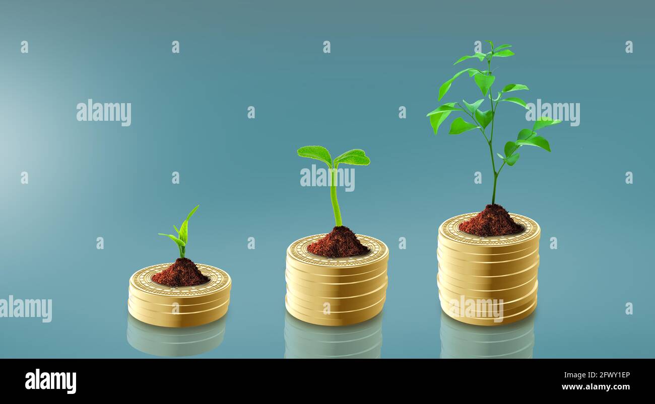 Plante poussant sur la pile d'argent de pièces. Économiser de l'argent, financer le développement durable, la croissance économique, l'éthique des affaires, les entreprises vertes rse, bon gove Banque D'Images