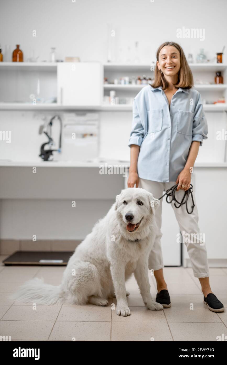 Un portrait de la jeune femme propriétaire avec un grand chien blanc attendant le vétérinaire en clinique vétérinaire. Concept de soins pour animaux Banque D'Images