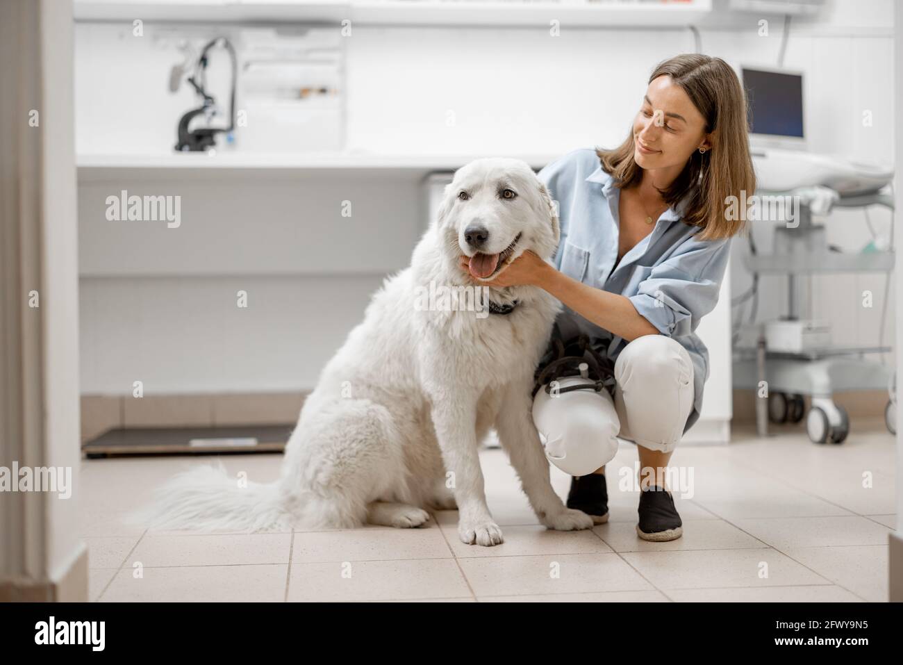Femme avec grand chien blanc attendant le vétérinaire en clinique vétérinaire. Concept de soins pour animaux Banque D'Images