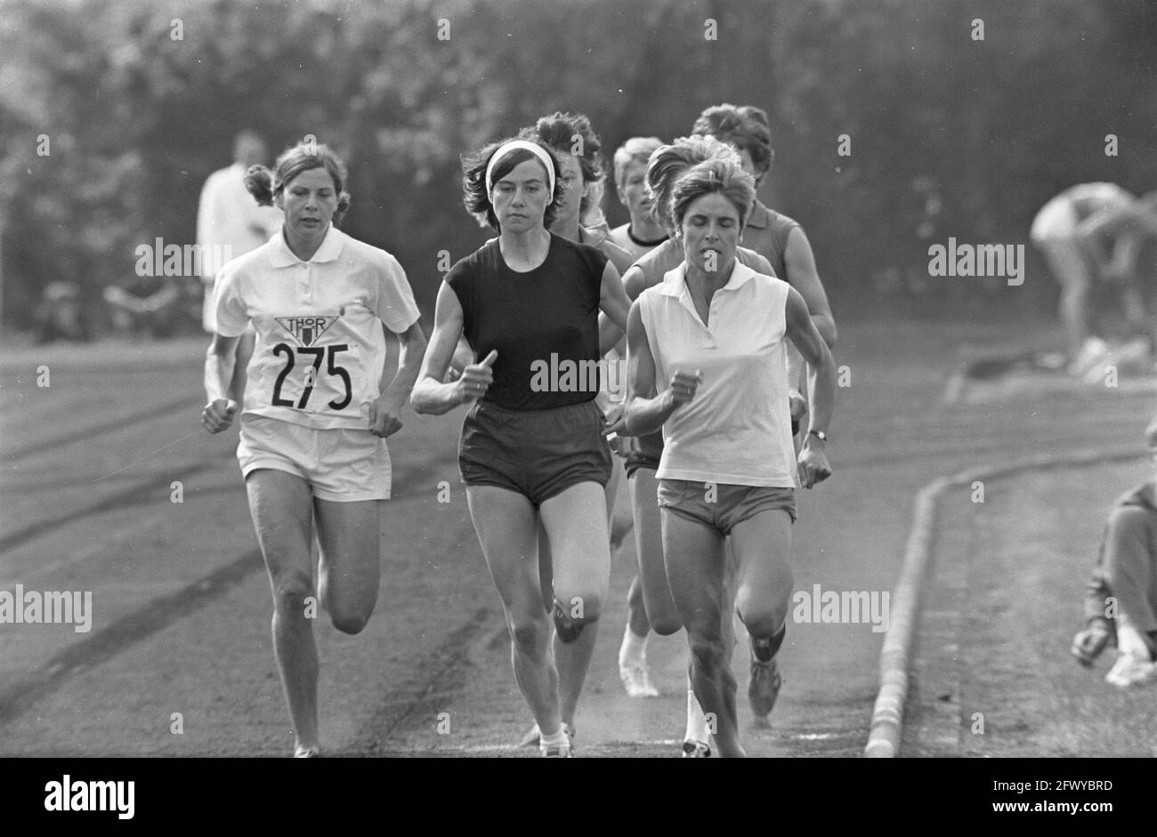 Athlétisme à Leiden pour le Golden Spike . Numbers 14.15 800m Ladies, Number 13 Els van Noordduyn, 15 juin 1968, ATLETICS, pays-Bas, 20e cent Banque D'Images Athlétisme à Leiden pour le Golden Spike . Numbers 14.15 800m Ladies, Number 13 Els van Noordduyn, 15 juin 1968, ATLETICS, pays-Bas, 20e cent Banque D'Images