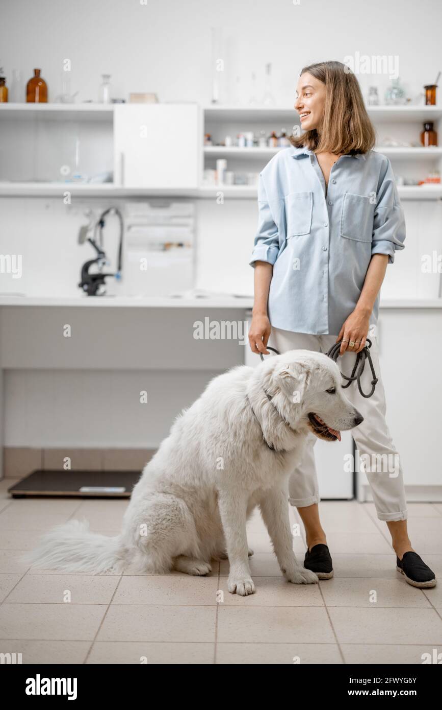 Femme avec grand chien blanc attendant le vétérinaire en clinique vétérinaire. Concept de soins pour animaux Banque D'Images