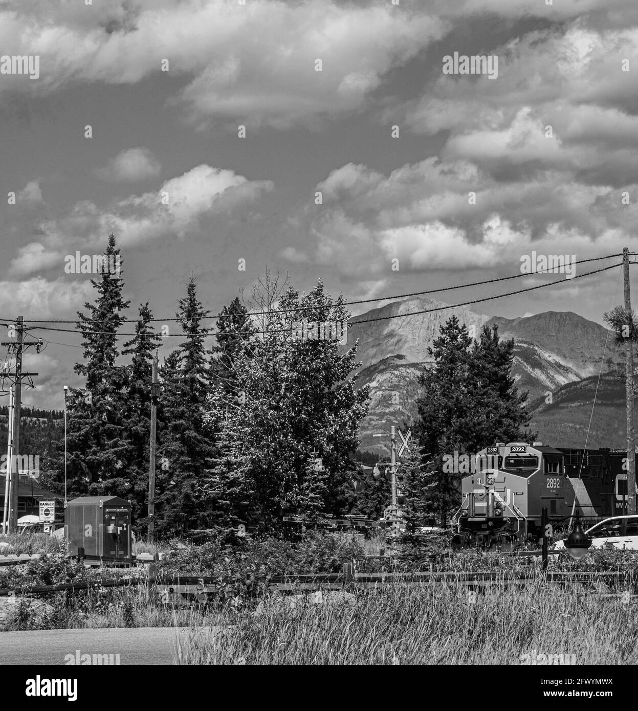 Photographie en noir et blanc, train, forêt, train Jasper Banque D'Images