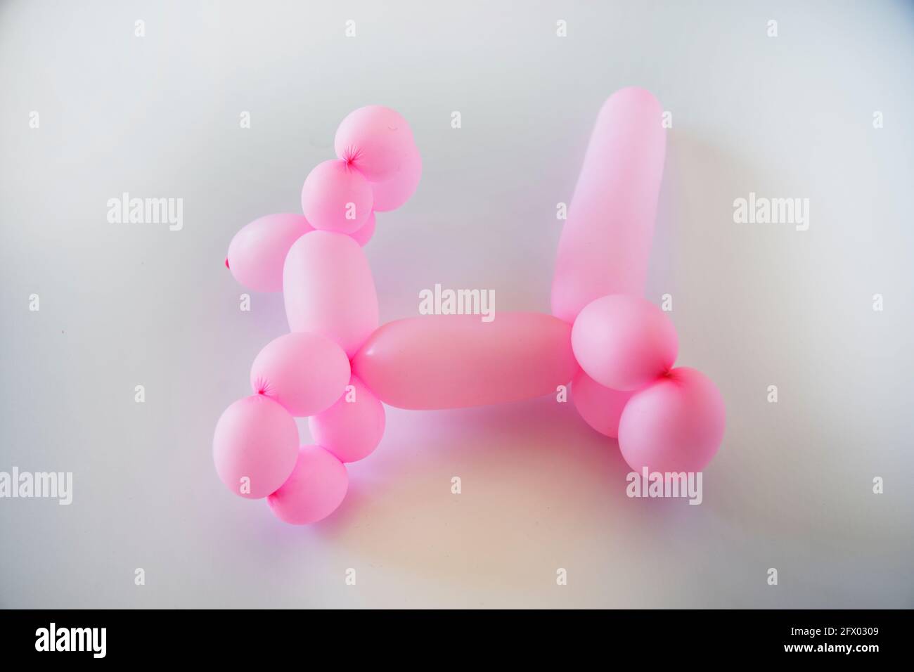 Figurine de chien en ballons roses. Foyer sélectif. Isolé. Banque D'Images