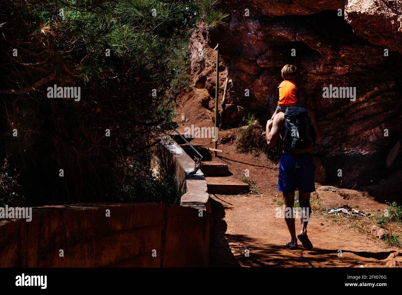 Vue arrière d'un père avec un sac à dos portant son fils sur les épaules tout en marchant dans une forêt Banque D'Images