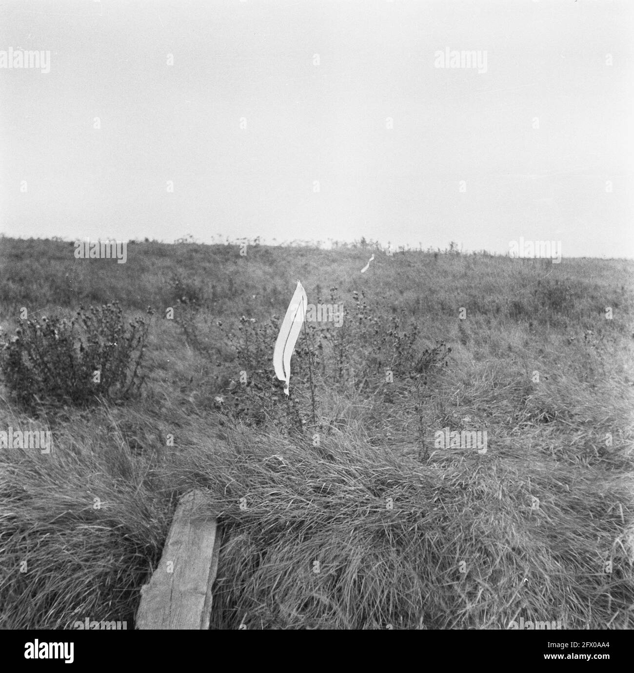 [Série de mines terrestres débarrasées à Hook of Holland], août 1945, récupération, deuxième guerre mondiale, pays-Bas, agence de presse du xxe siècle photo, nouvelles à retenir, documentaire, photographie historique 1945-1990, histoires visuelles, L'histoire humaine du XXe siècle, immortaliser des moments dans le temps Banque D'Images