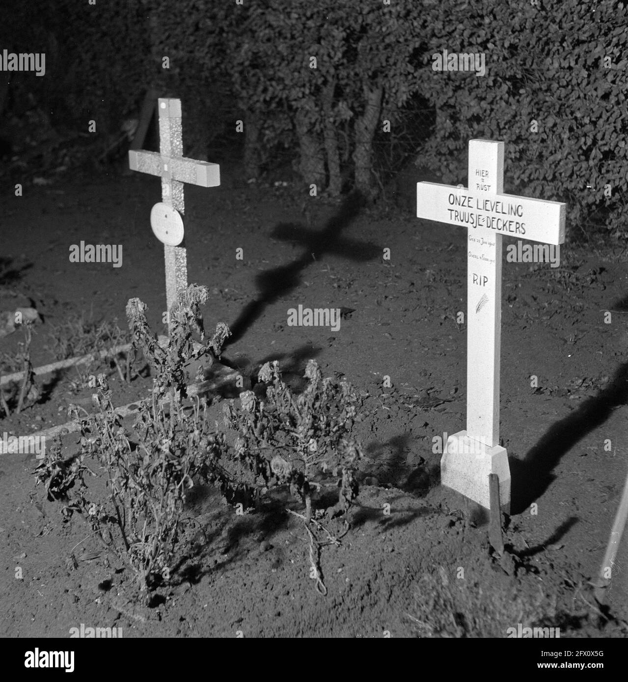 Sud des pays-Bas. Reportage sur les dangers des mines et des munitions abandonnées pour jouer des enfants. Deux tombes de petits enfants, quelque part à Limbourg, qui ont été tuées dans une explosion dans une ferme. La cause en était que les petits garçons jouaient avec des grenades à main et les jetaient dans une excavation. Un des garçons a lancé une grenade de la mauvaise manière, tuant deux petites filles qui regardaient de loin. Une des filles était la plus jeune sœur du garçon qui a jeté., 24 décembre 1945, cimetières, tombes, Enfants, accidents, pays-Bas, Agence de presse du XXe siècle photo, nouvelles à retenir Banque D'Images