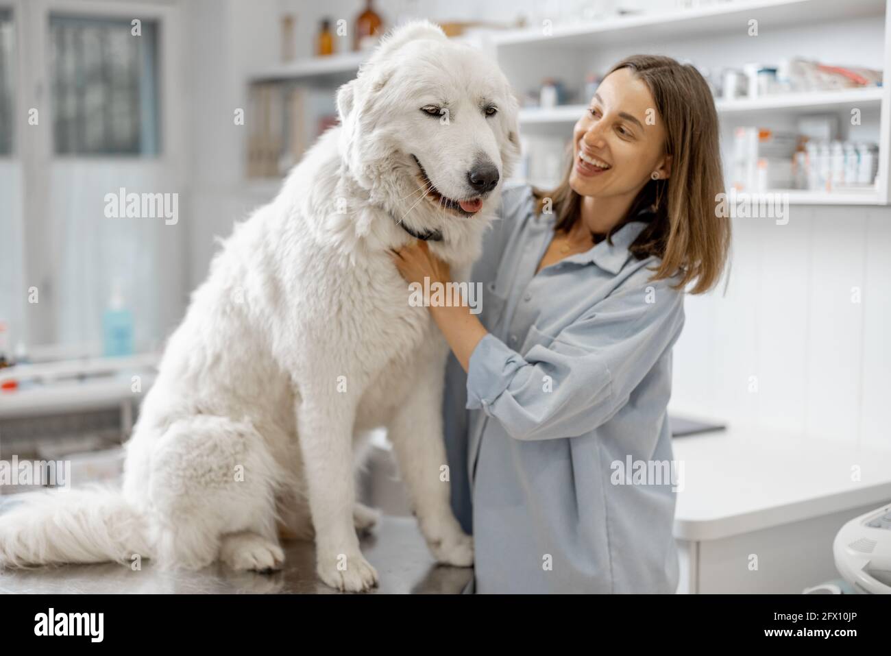 Heureuse femme propriétaire embrassant et apaisant mignon grand chien debout à la table d'examen à la clinique vétérinaire avant l'examen du médecin. Soins pour animaux et visite d'une clinique. Banque D'Images