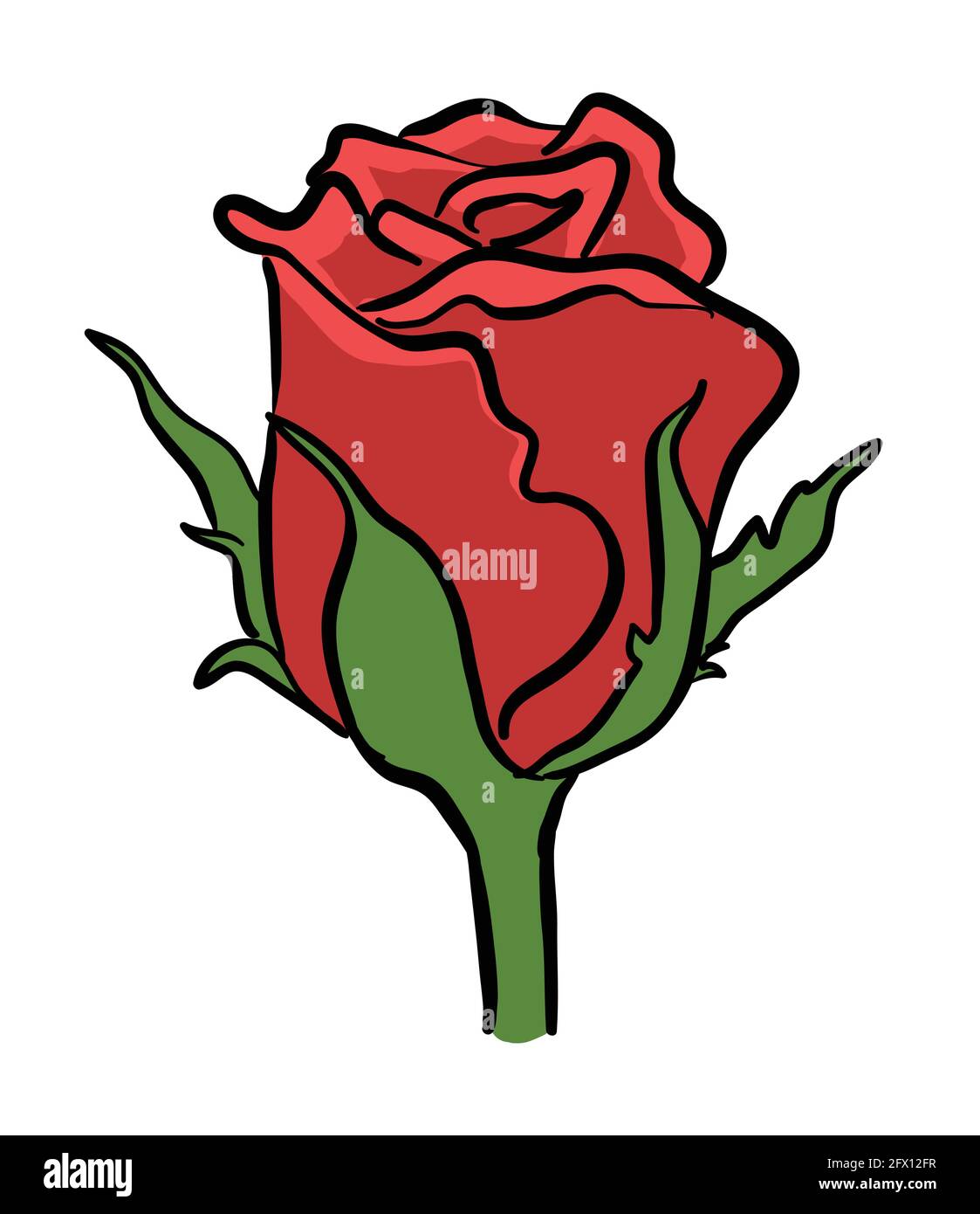 Illustration vectorielle de fleur de rose rouge isolée sur fond blanc Illustration de Vecteur