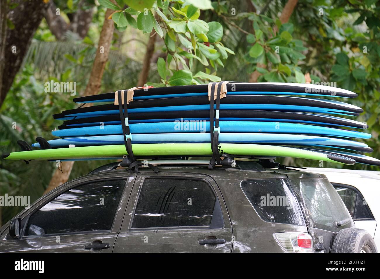 Pile de six planches de surf sur un porte-bagages de toit Photo Stock -  Alamy