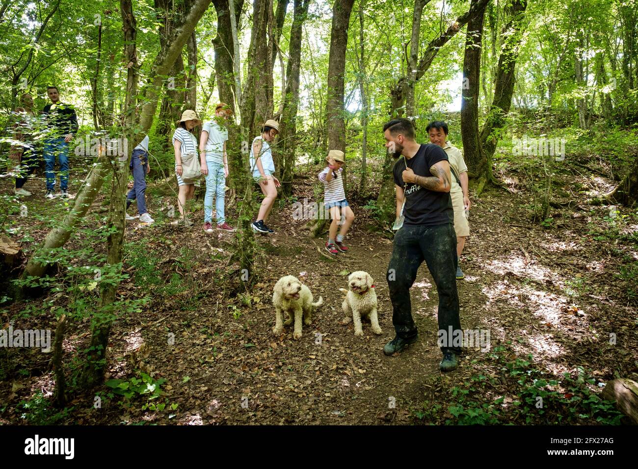 Touristes lors d'une visite guidée de la chasse à la truffe. Photo avec le guide et ses deux chiens d'eau qui sont formés pour sniff truffes. Banque D'Images