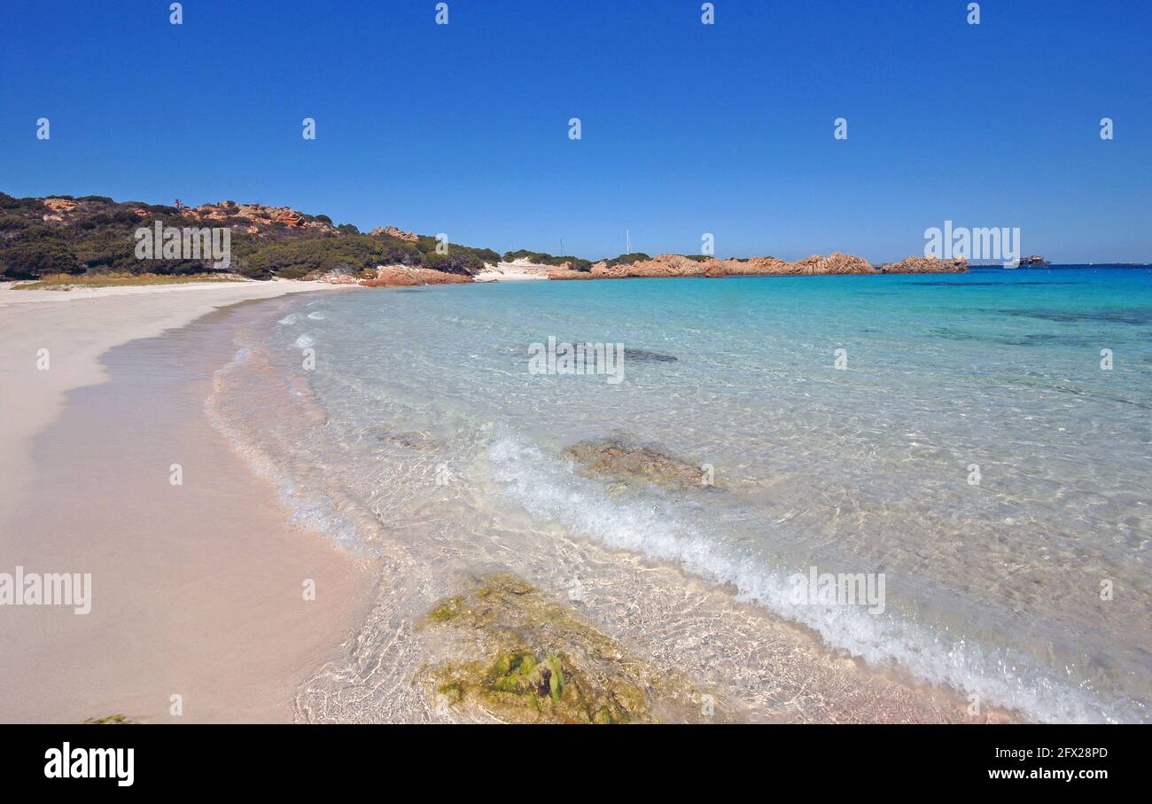 Spiaggia Rosa nell'isola di Budelli. Parco Nazionale Arcipelago di la Maddalena, Sardegna Banque D'Images