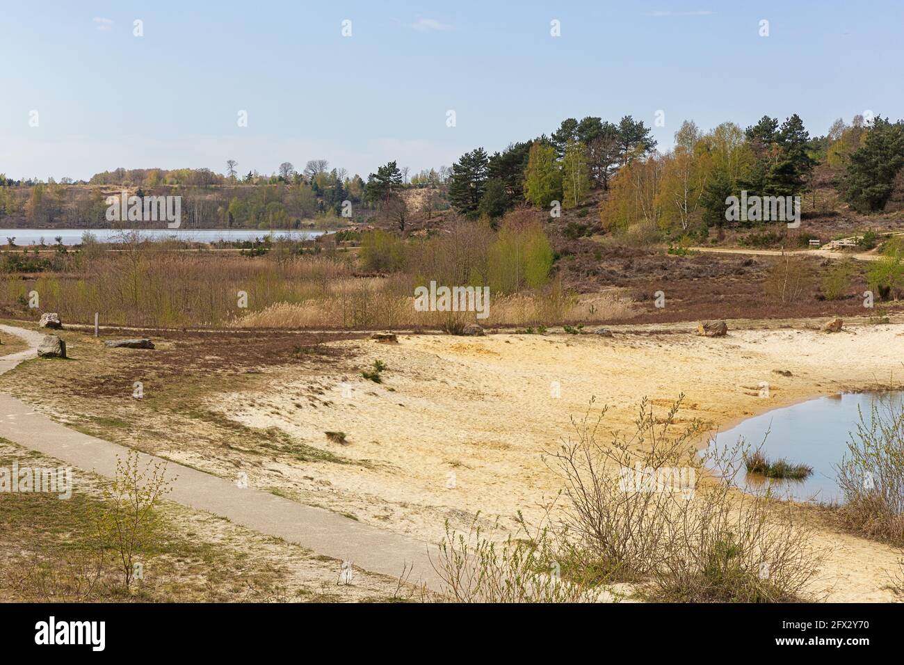 Heather et fens sur le Mechelse Heide près de l'entrée du parc Banque D'Images