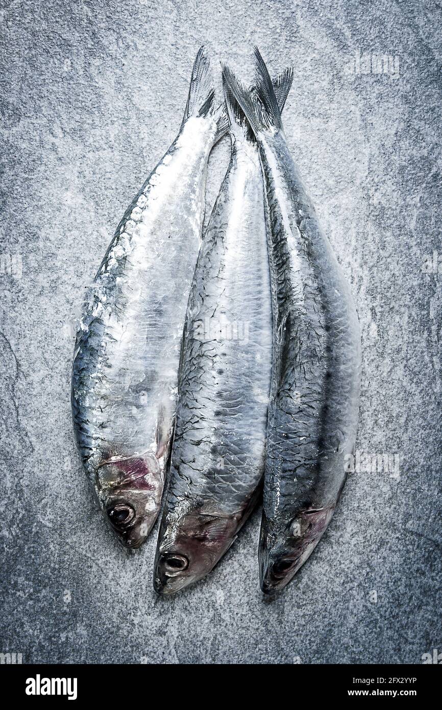 Image à plat de 3 sardines fraîches provenant du poissonnier, prêtes à être cuites pour un repas sain. Banque D'Images