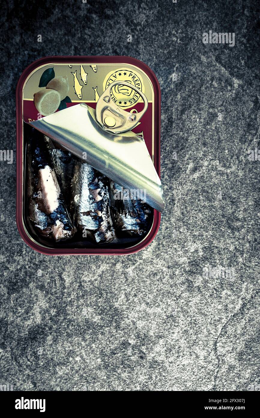 Une boîte ouverte de sardines était posée sur un plan de travail de cuisine avec espace pour la copie Banque D'Images