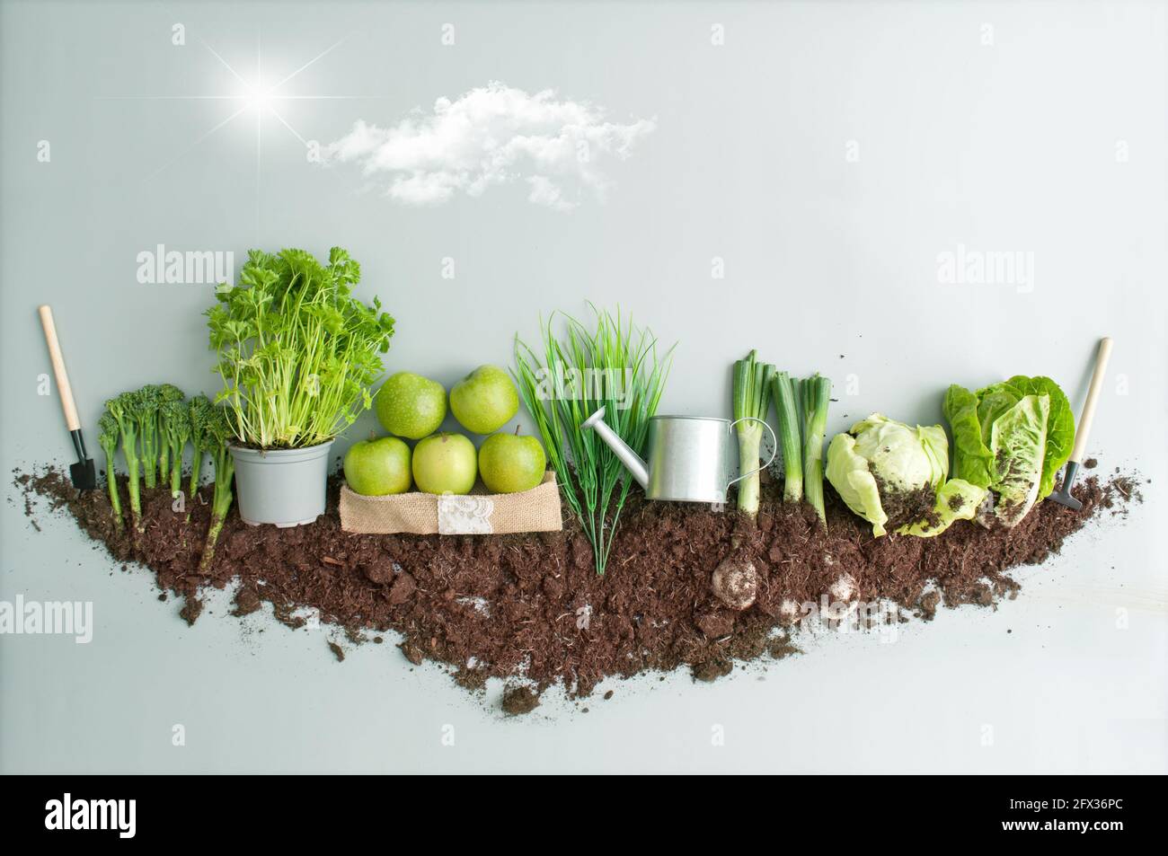 Concept biologique de croissance de jardin de fruits et légumes verts Banque D'Images