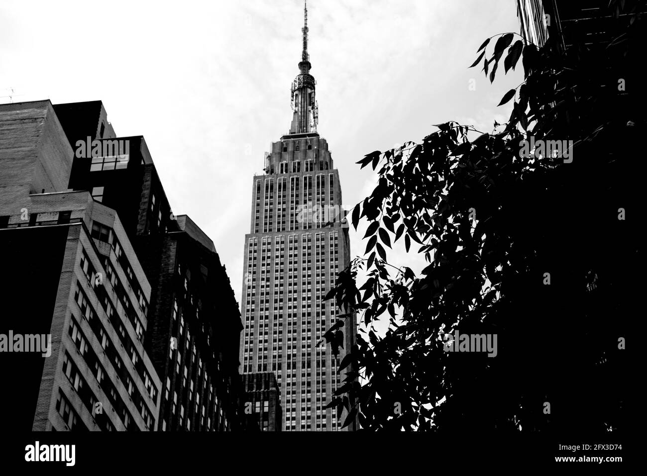Vue sur l'Empire State Building depuis la 34e rue à New York, le jeudi 9 mai 2019. Photo de Jennifer Graylock-Graylock.com 917-519-7666 Banque D'Images