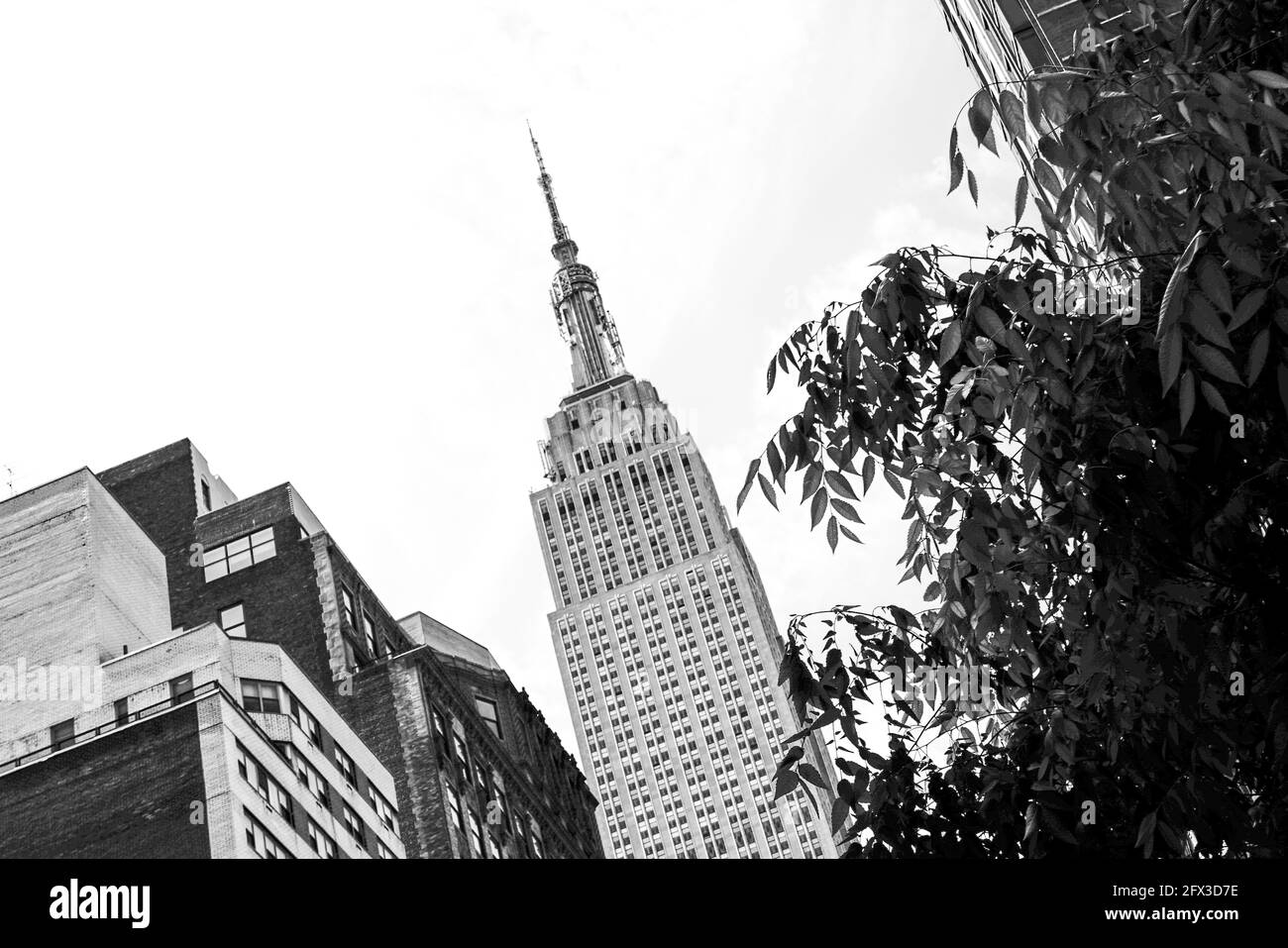 Vue sur l'Empire State Building depuis la 34e rue à New York, le jeudi 9 mai 2019. Photo de Jennifer Graylock-Graylock.com 917-519-7666 Banque D'Images