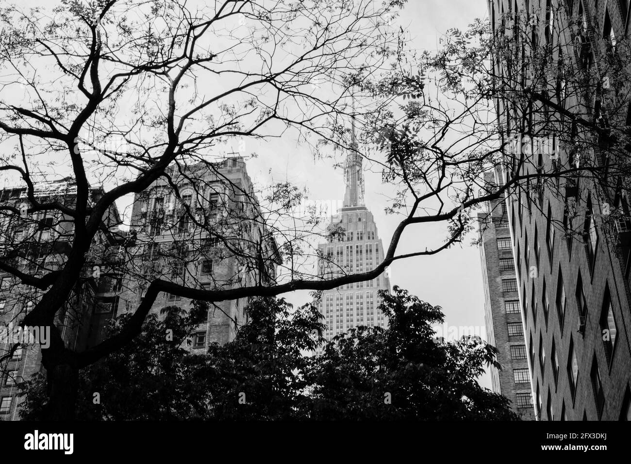 Vue sur l'Empire State Building depuis la 34e rue à New York, le jeudi 9 mai 2019. Photo de Jennifer Graylock-Graylock.com 917-519-7666 Banque D'Images