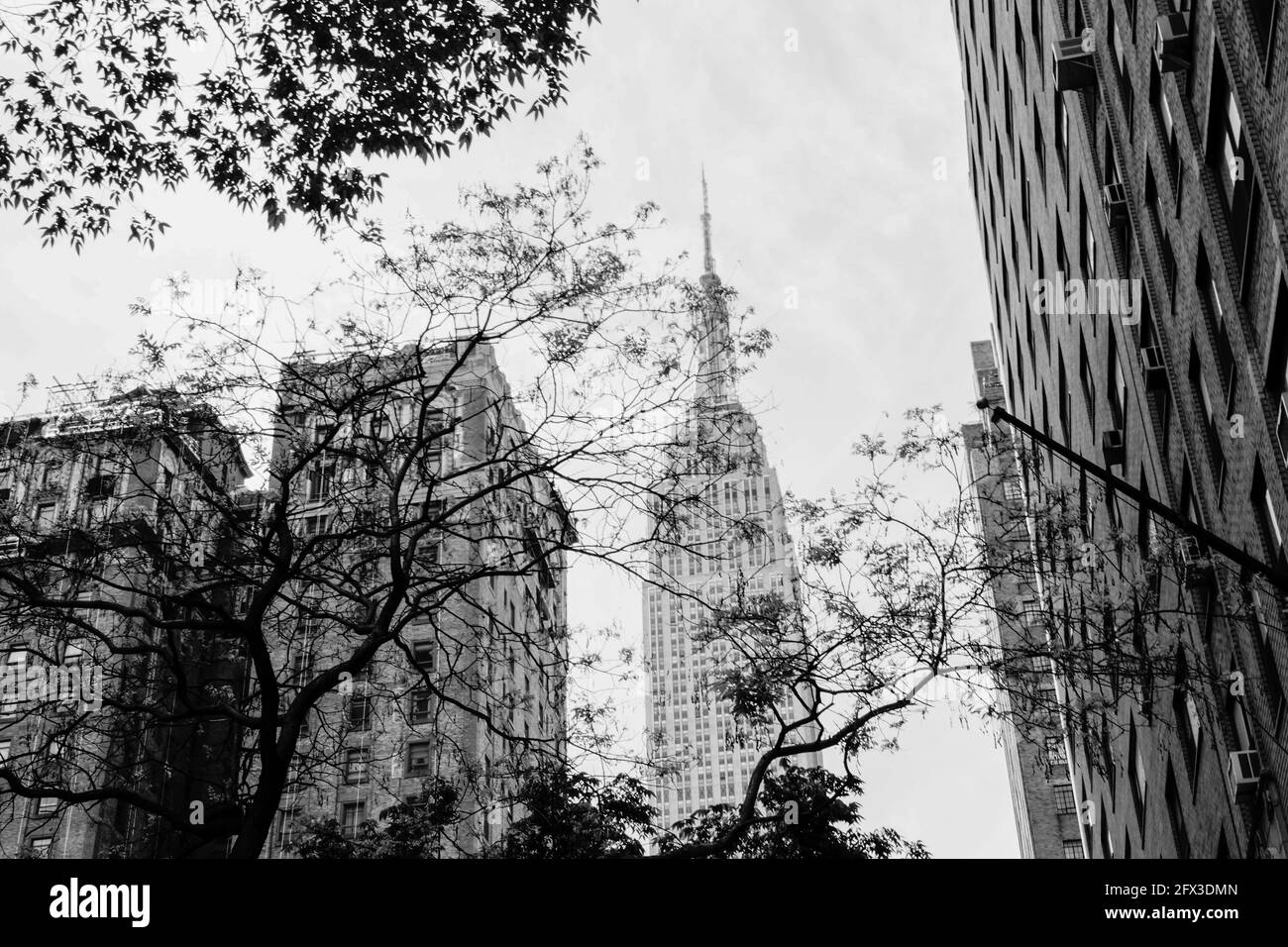 Vue sur l'Empire State Building depuis la 34e rue à New York, le jeudi 9 mai 2019. Photo de Jennifer Graylock-Graylock.com 917-519-7666 Banque D'Images
