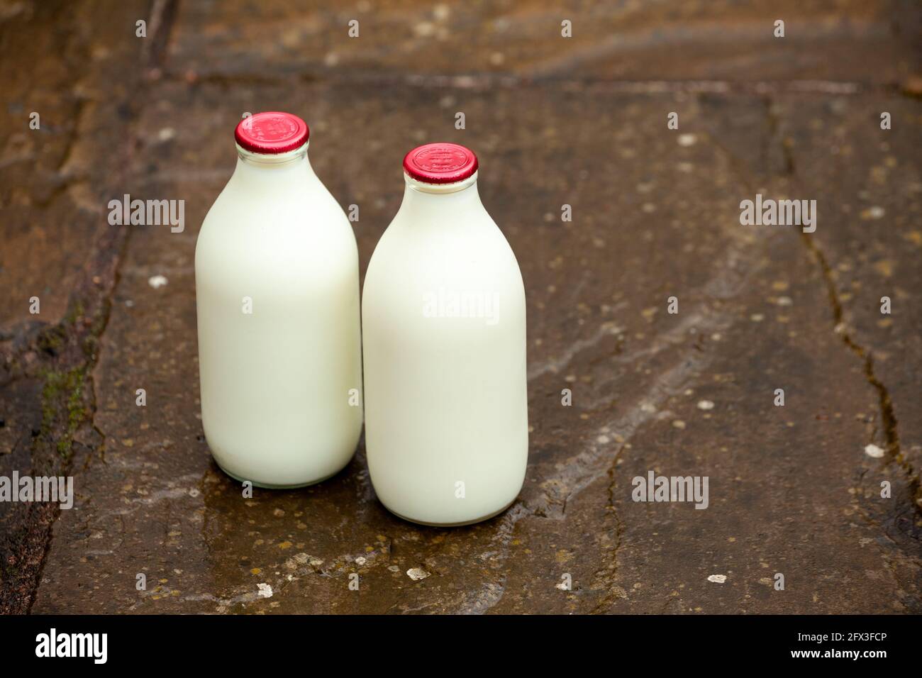 Deux pintes de lait rouge dans des bouteilles en verre Banque D'Images