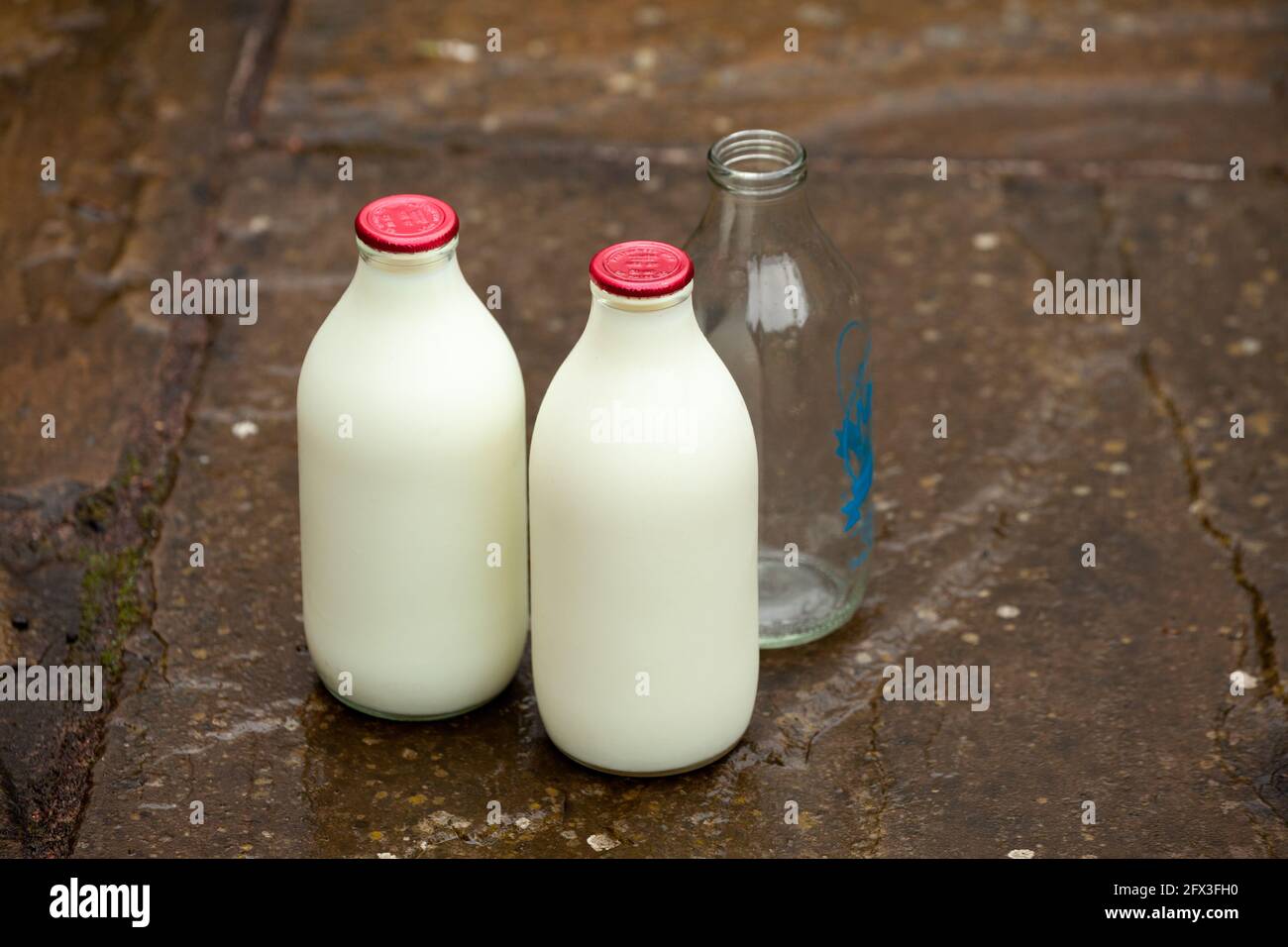 Deux bouteilles pleines de lait écrémé et une bouteille vide Banque D'Images