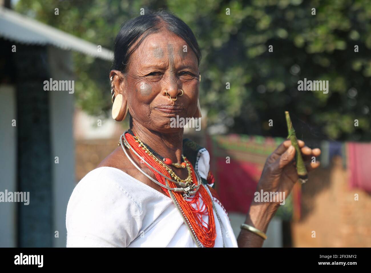 LANJIA SAORA TRIBE - Tribal femme fumant pipe de pulam fait de feuilles. Bouchons ronds en bois ou taitalya dans les oreilles et bijoux Khagla et Jatong autour d'elle Banque D'Images