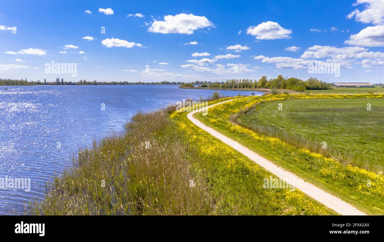 Scène aérienne de printemps de la rivière hollandaise près de Boornzwaag. Piste cyclable sur la digue qui serpend à travers la polder avec des fleurs jaunes. Frise, pays-Bas Banque D'Images