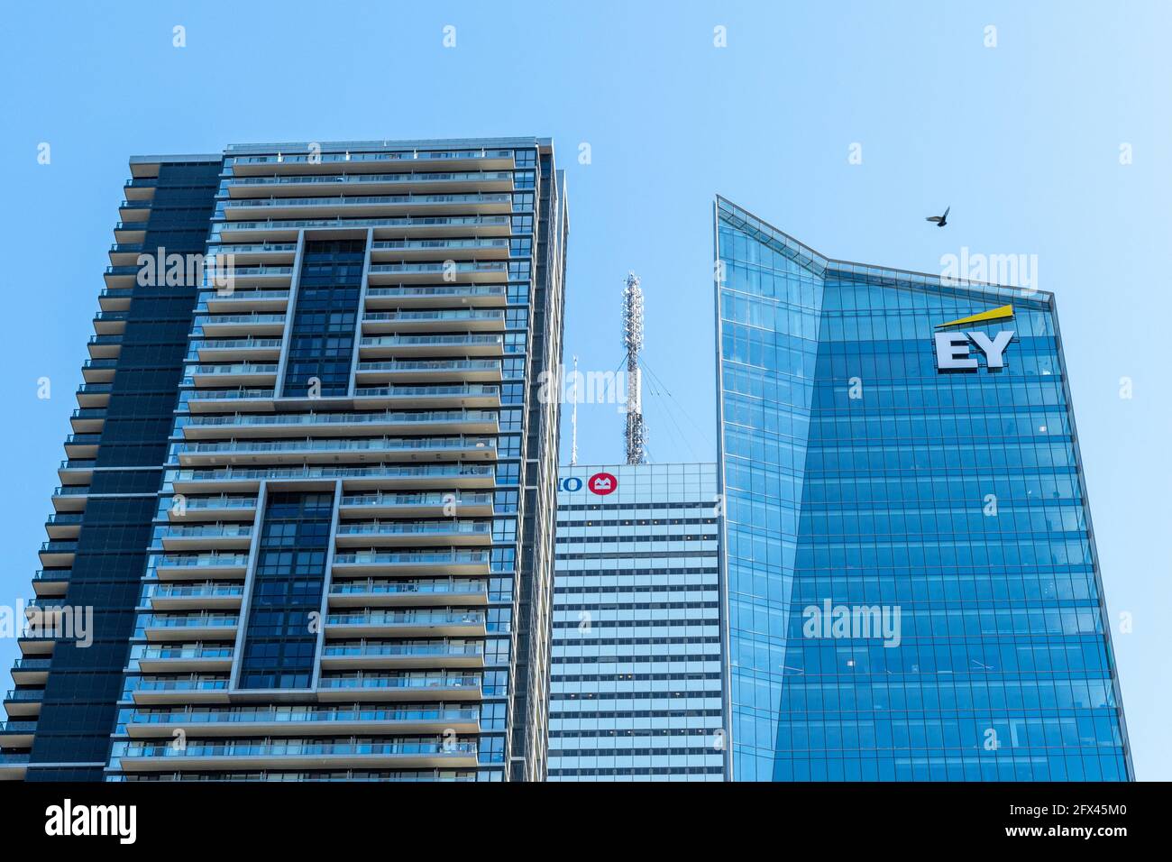 Gratte-ciel du quartier financier au centre-ville de Toronto, Canada. L'image montre les bâtiments EY et BMO. Vue à angle bas Banque D'Images