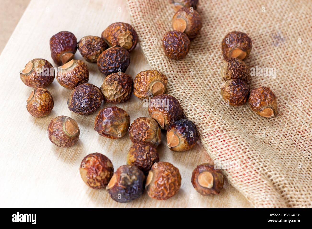 Noisettes de savon sec brun (Soapberries, Sapindus Mukorossi) pour le linge biologique et les soins doux et naturels de la peau sur fond clair. Banque D'Images Noisettes de savon sec brun (Soapberries, Sapindus Mukorossi) pour le linge biologique et les soins doux et naturels de la peau sur fond clair. Banque D'Images