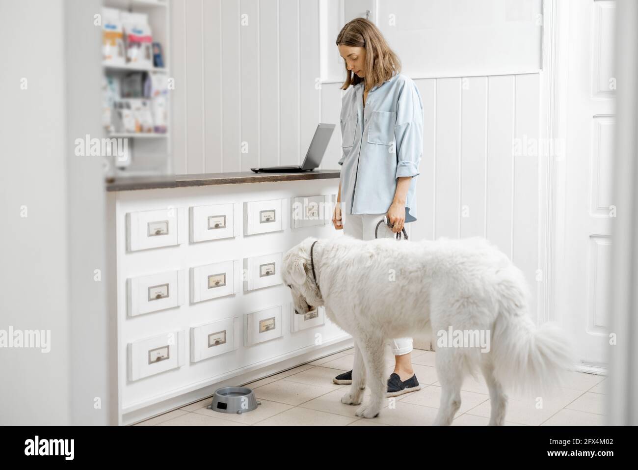 Femme avec grand chien blanc attendant le vétérinaire à la réception en clinique vétérinaire. Concept de soins pour animaux Banque D'Images