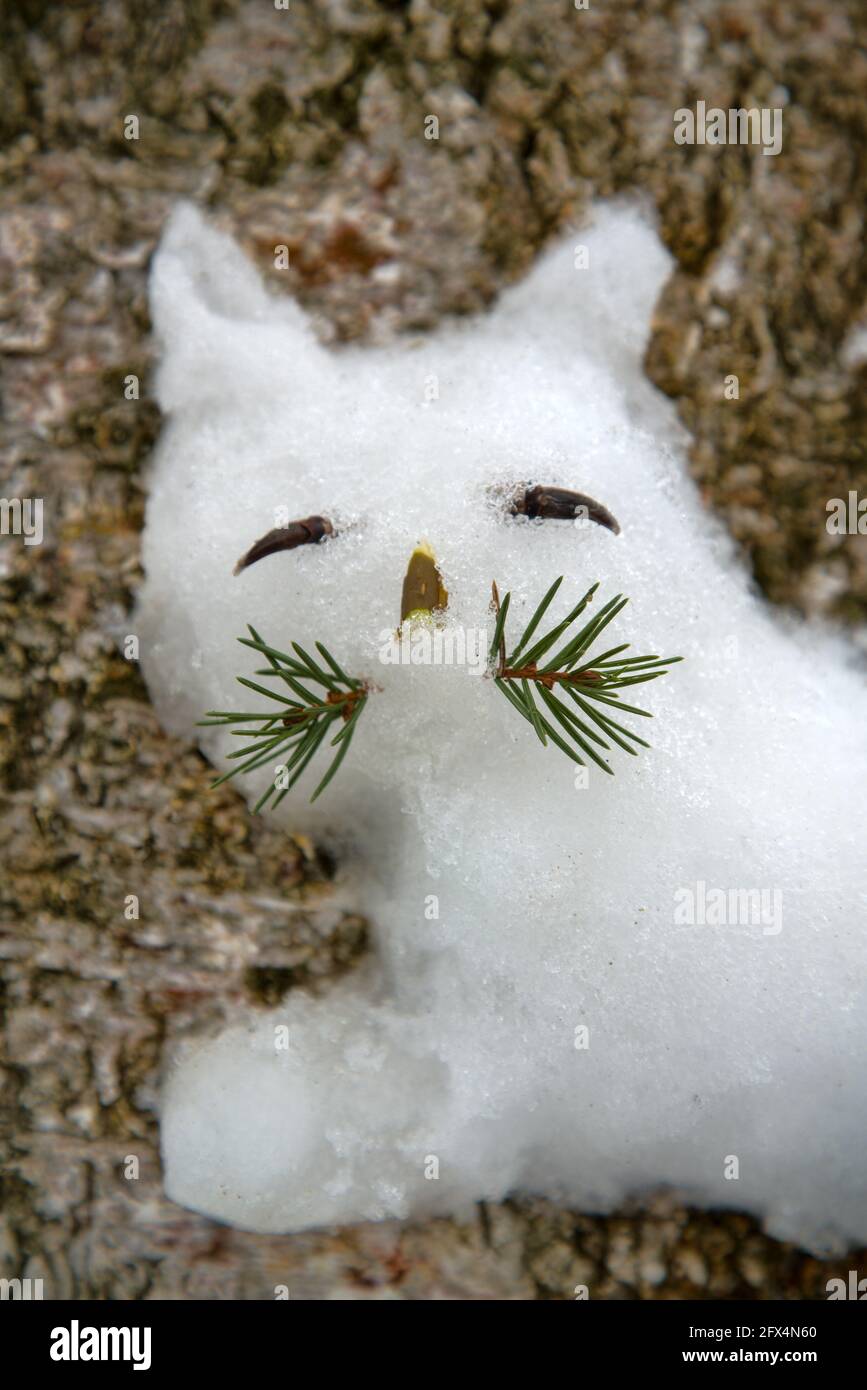 Approche créative des enfants. Les enfants ont coincé une figure de neige d'un chat sur un arbre (comme un relief élevé). Banque D'Images