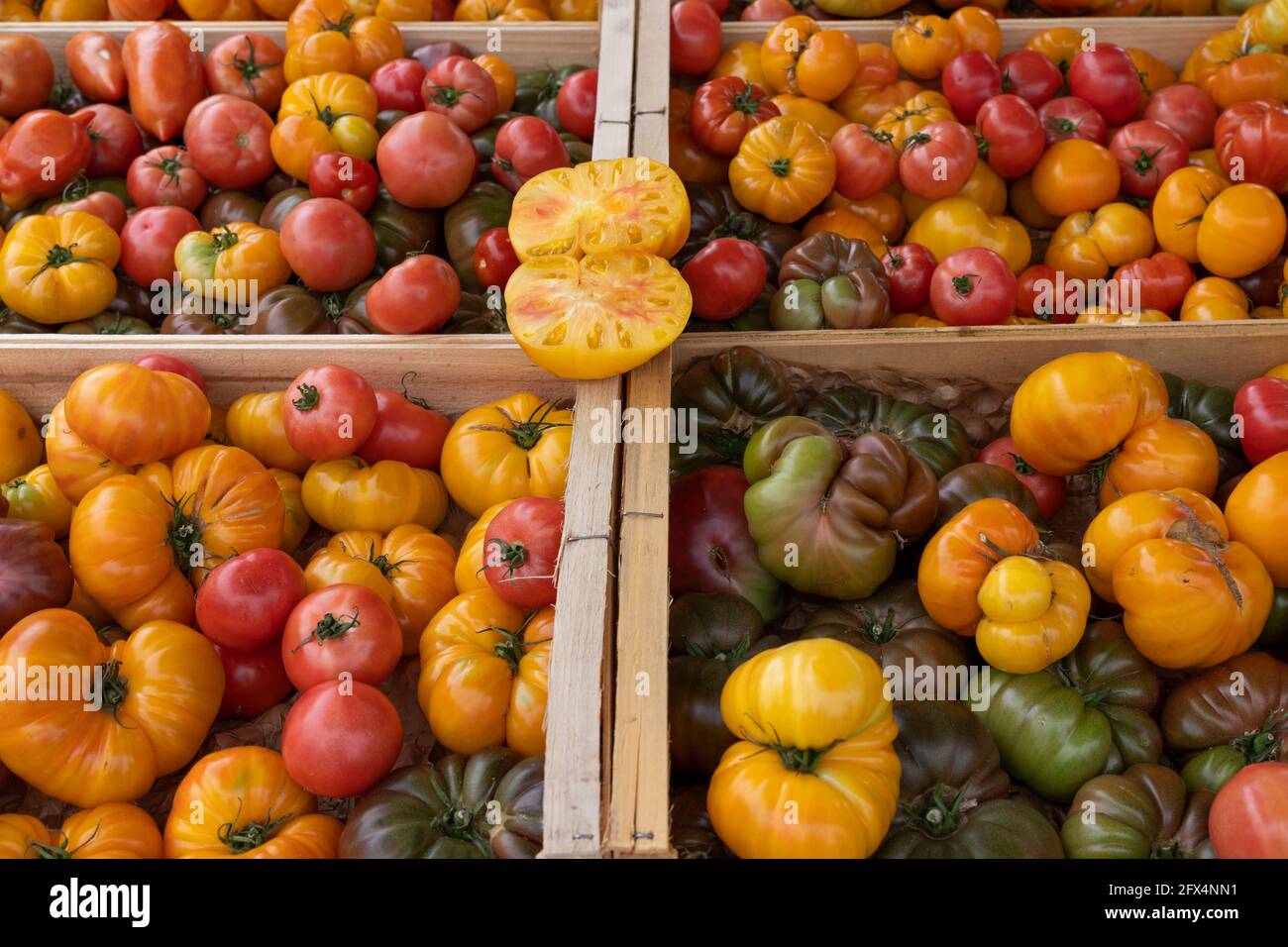 différentes tomates sur le marché français Banque D'Images