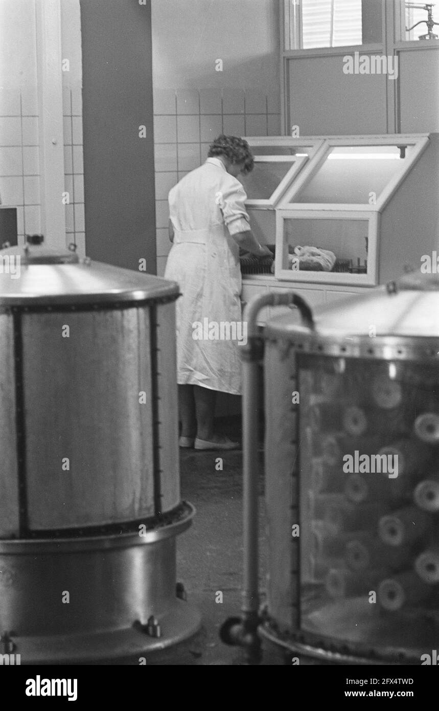 Admissions au Laboratoire central du Service transfusionnel de la Croix-Rouge des pays-Bas à Amsterdam, 25 août 1959, soins de santé, hôpitaux, Pays-Bas, Agence de presse du XXe siècle photo, nouvelles à retenir, documentaire, photographie historique 1945-1990, histoires visuelles, L'histoire humaine du XXe siècle, immortaliser des moments dans le temps Banque D'Images