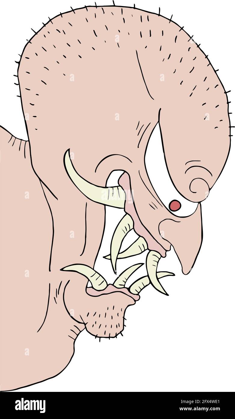 illustration monstre laid Illustration de Vecteur