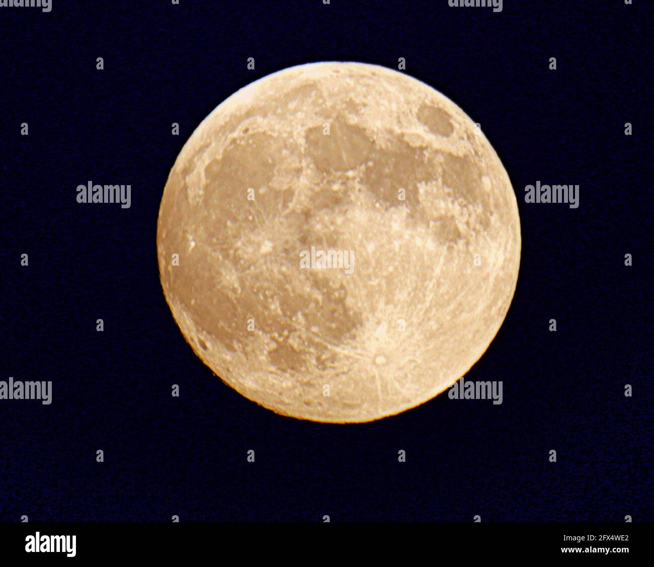 Glasgow, Écosse, Royaume-Uni le 25 mai 2021. Pleine lune de fleur sur l'Écosse ce soir sera une lune de sang avec l'éclipse demain crédit: Gerard Ferry/Alamy Live News Banque D'Images