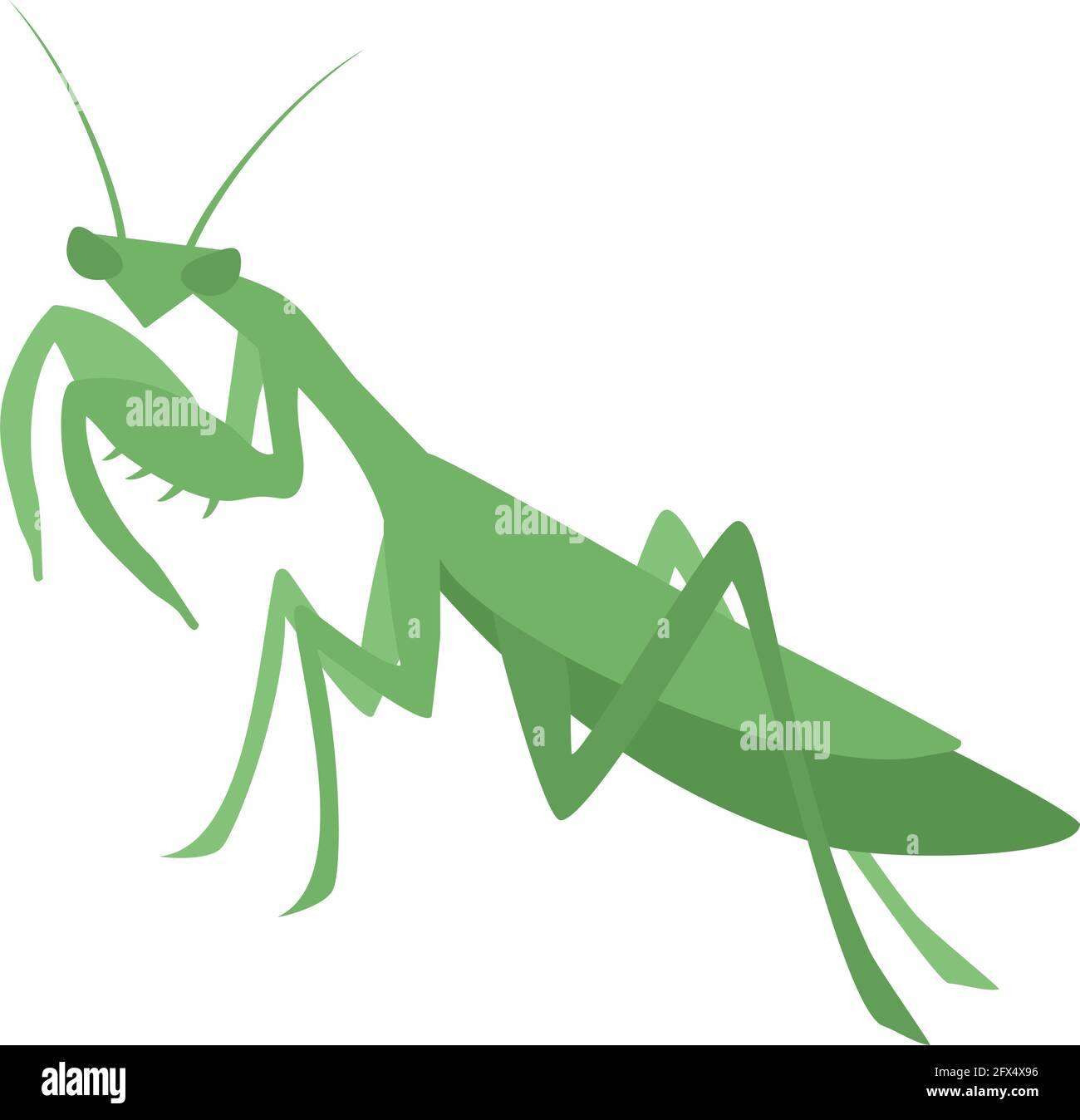 Illustration de la mantis créative Illustration de Vecteur