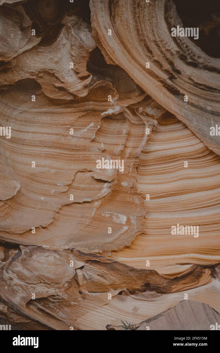 Gros plan sur le motif érodé de la texture des couches de grès. Vue sur une randonnée à Berowra Creek près de la rivière Hawkesbury. Banque D'Images